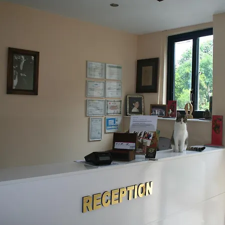 Otel Life 3*
