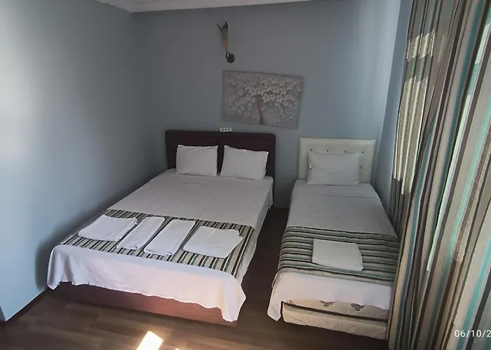 Hotel Life 3*